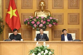 越南成立4个新型冠状病毒感染肺炎疫情小组