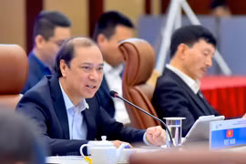 东盟联合协商会议在岘港举行