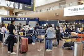 越南将300多名公民从瑞典和芬兰接回国
