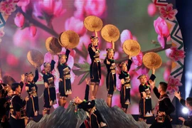 第七届越老中三国边境县抛绣球节将在中国云南江城举行
