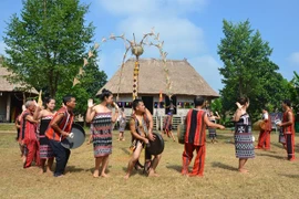 越南民族文化旅游村举办多项活动庆祝6·28越南家庭日