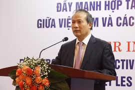 越南与非洲法语国家合作前景广阔