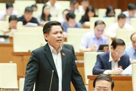 越南十四届国会第10次会议：国会继续开展质询和询问活动 对越共十三大各文件草案进行讨论