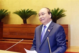 国会第十次会议：政府总理阮春福接受代表询问