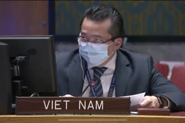 越南对刚果的暴力和动荡局势表示担忧
