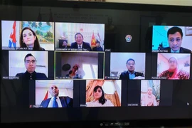“胡志明主席——民族解放英雄、文化名人”的视频研讨会在埃及举行