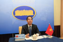 越南外交部副部长苏英勇与英国外交大臣奈杰尔·亚当斯举行电话会谈