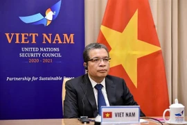 越南一贯支持巴勒斯坦人民的正义斗争和无可侵犯的正当权益
