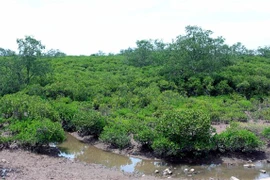 太平省泰瑞湿地自然保护区正式成立
