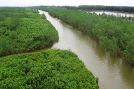 减轻经济社会发展活动对太平省太瑞湿地保护区带来的负面影响