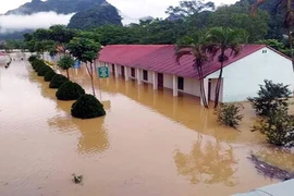 暴雨洪水袭击越南北部山区各省造成严重的损失