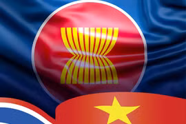 越南——东盟坚定而可靠的成员 