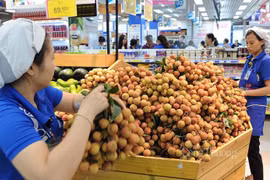 越南-中国山东企业对接视频交易会