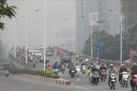 越南加强城市空气质量管控工作 