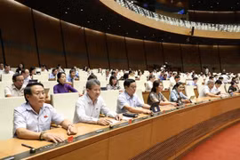 越南第十四届国会第九次会议：通过2021年国会监督计划的决议