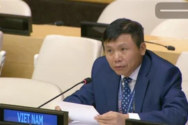 越南呼吁国际伙伴协助索马里政府减少冲突对社会经济的影响和解决人道主义问题