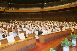 越南国会第九次会议：国会活动中的重要亮点