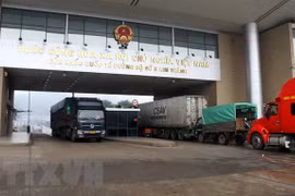新冠肺炎疫情：越南通过老街口岸向中国出口6500吨农产品