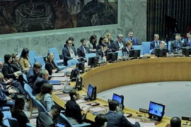 越南主持联合国安理会关于马里局势的会议