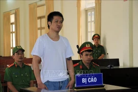 林同省：阮国德旺以煽动宣传反国家罪被判有期徒刑8年