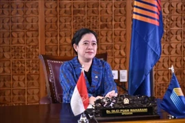 AIPA 41：印度尼西亚呼吁维持东盟的和平、友好与和谐