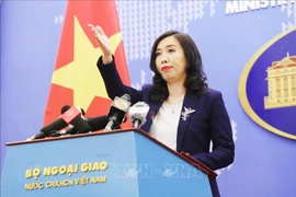 2020东盟轮值主席年：越南主动提出倡议并促进东盟合作以有效应对疾病