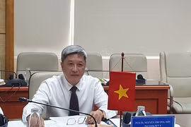 越南卫生部与世界卫生专家就在疫情的背景下非传染性疾病的治疗问题展开讨论