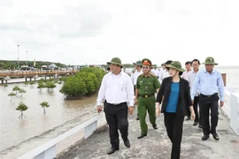 越南国会主席阮氏金银视察金瓯省