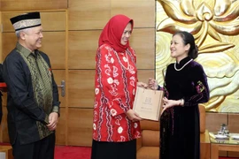 促进越南与印尼人民之间的友好合作关系