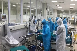 世界各政党高度评价越南抗击新冠肺炎疫情取得积极成效