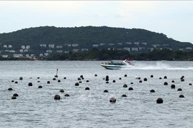 大湄公河次区域国家努力促进旅游行业复苏