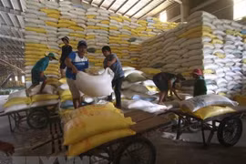 非洲仍是后疫情时代潜力巨大的市场