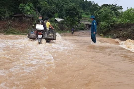 越南北部各省主动应对和克服暴雨洪涝灾害所造成严重后果