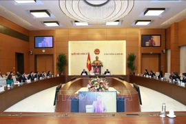 国会主席：驻外大使、首席代表要做到将国家和民族利益置于首位