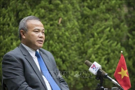 武洪南大使：在日越南人处变不惊应对新冠肺炎疫情