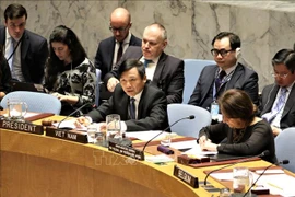 越南与联合国安理会：越南主持召开联合国安理会关于以色列和巴基斯坦局势公开会