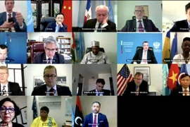 越南与联合国安理会：由利比亚人引领的和平进程是利比亚问题的唯一解决方案