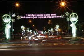 胡志明市举行多项活动 庆祝九二国庆节