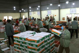 新冠肺炎疫情：制定农产品出口方案