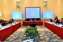 制定越南与联合国2022-2026年合作发展框架