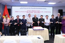 文化、旅游和民间交流成为加强越印在各个领域的"催化剂"