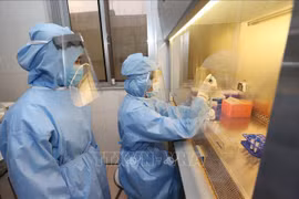 新冠肺炎疫情：越南研究应用多种科学技术 与卫生部门一道抗击疫情