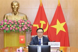 越南在国际政党圆桌视频会议上分享新冠肺炎疫情防控经验