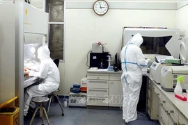 新冠肺炎疫情：30个越南实验室可以检测新型冠状病毒