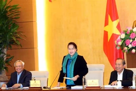 国会主席阮氏金银：越南法律体系不断健全完善