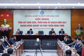 越通社简讯2020.12.24