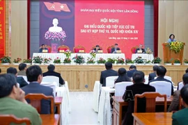越共中央民运部部长张氏梅在林同省开展接待选民活动