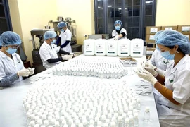 新冠肺炎疫情：首都河内青年开展多项面向社区的志愿活动