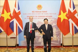 越南政府副总理兼外长范平明同英国外交发展大臣举行会谈