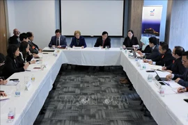 2020东盟主席年：越南主持召开驻联合国东盟委员会会议 
